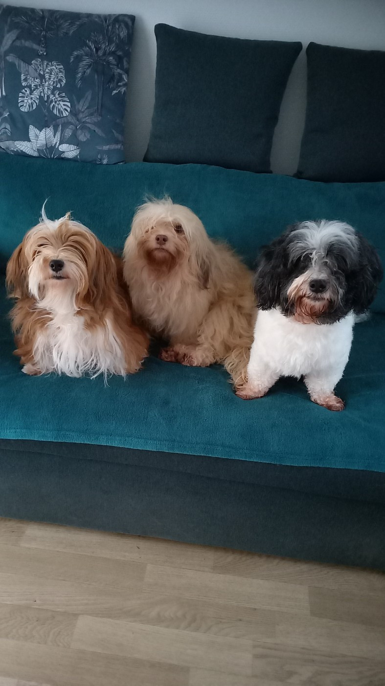 Le havre des petits charmeurs - Les bébés de THYA et Rhea